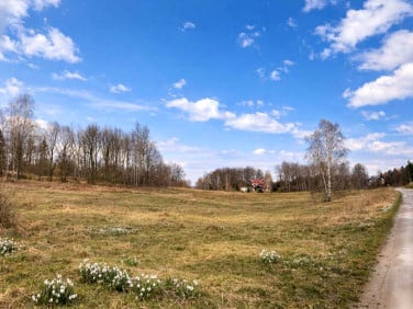 Działka inna Staniszów sprzedam