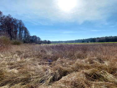 Działka budowlana Pokrzywnica