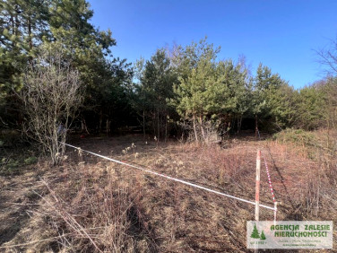 Działka budowlana Czarny Las