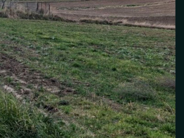 Działka budowlana Miechów