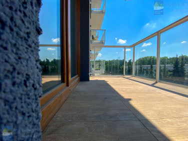 Mieszkanie Katowice wynajem