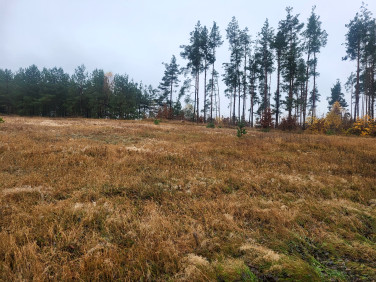 Działka budowlana Borek