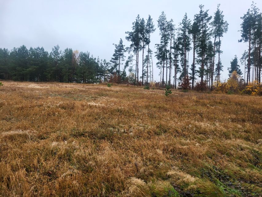 Działka budowlana Borek