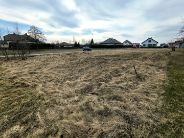 Działka budowlana Krasne