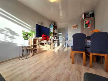 Mieszkanie Świdnica