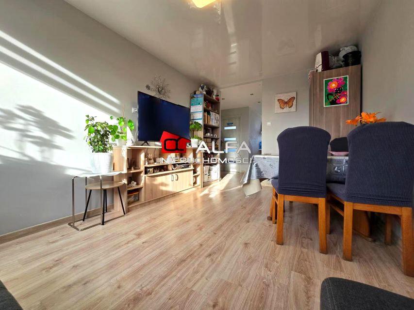 Mieszkanie Świdnica