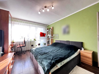 Mieszkanie Świdnica