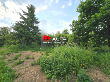 Działka budowlana Mrowiny