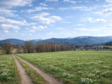 Działka usługowa Kowary