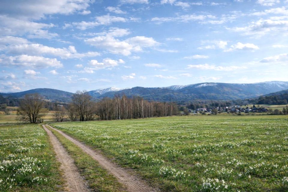 Działka usługowa Kowary