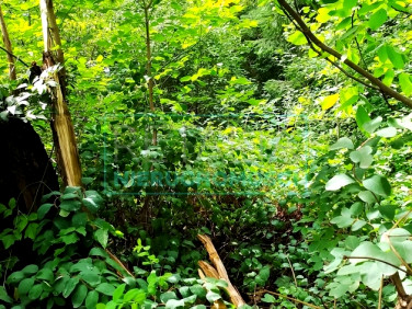 Działka budowlana Grodzisk Mazowiecki