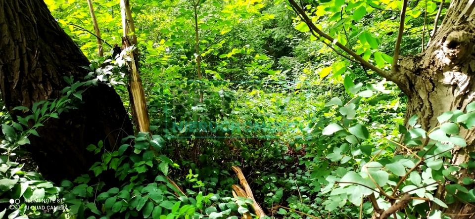 Działka budowlana Grodzisk Mazowiecki