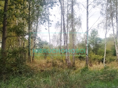 Działka budowlana Adamowizna