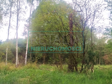 Działka budowlana Adamowizna sprzedam