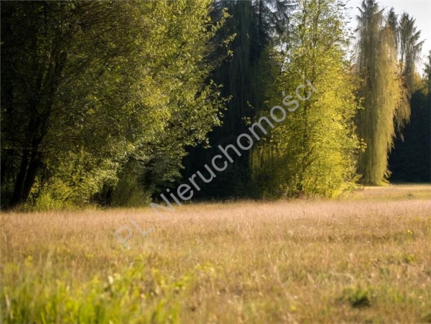 Działka leśna sprzedam