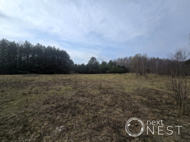 Działka inna Marylka