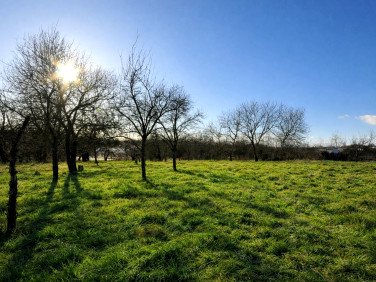 Działka budowlana sprzedam