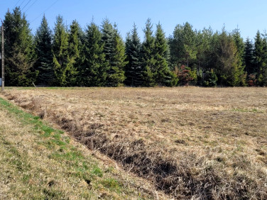 Działka rolna Śliwno