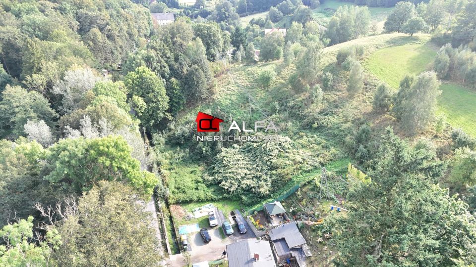 Działka usługowa Zagórze Śląskie sprzedam