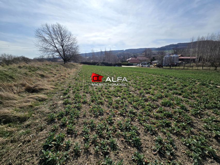 Pusta działka Witoszów Dolny