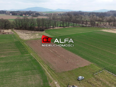 Pusta działka Wierzbna