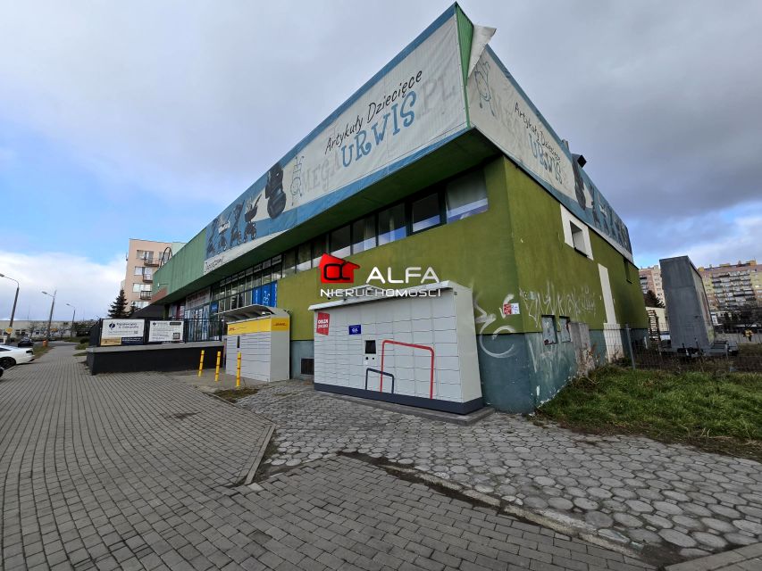 Lokal Świdnica