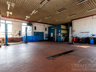 Budynek użytkowy Mścice wynajem