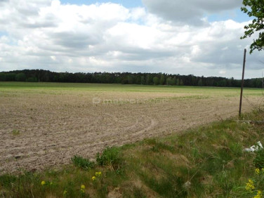 Działka budowlano-rolna Luciny