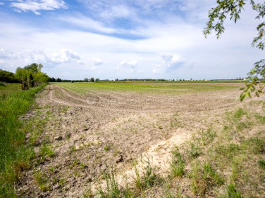 Działka budowlana Poznań