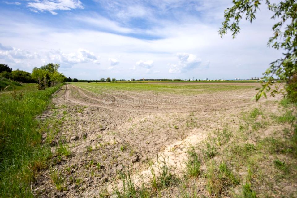 Działka budowlana Poznań