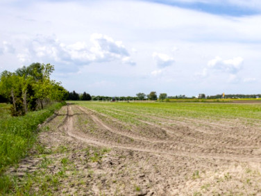 Działka budowlano-rolna Poznań