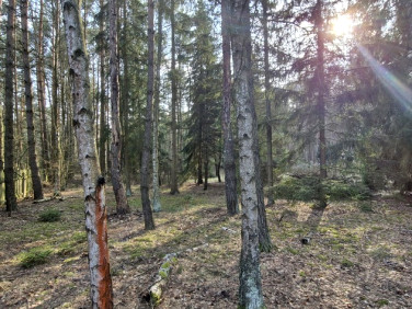 Działka rekreacyjna Malinówka