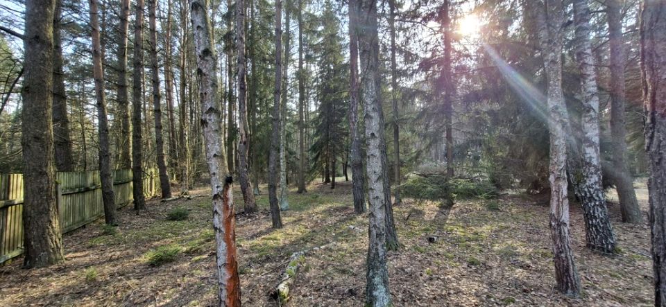 Działka rekreacyjna Malinówka