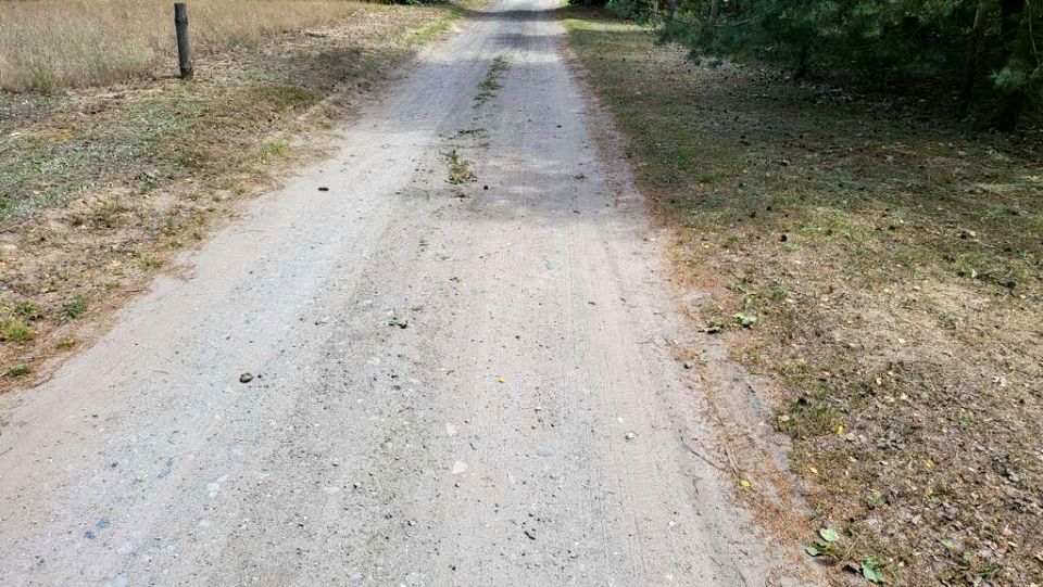 Zdjęcie 3