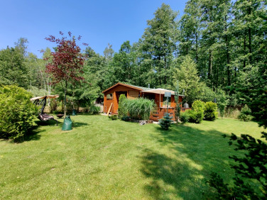 Działka rekreacyjna Wola Prażmowska