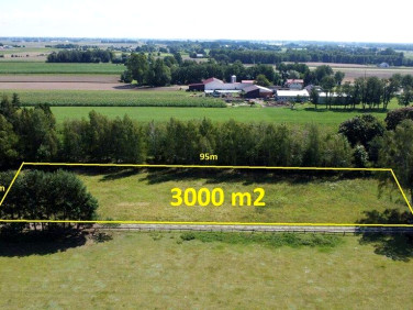 Działka budowlana Trzciniec