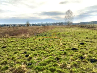 Działka budowlana Niedźwiedź