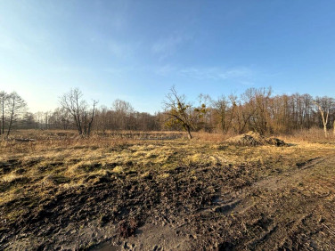 Działka budowlana Wiktorów