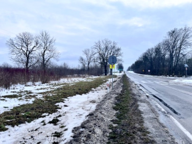 Działka inwestycyjna Dryszczów