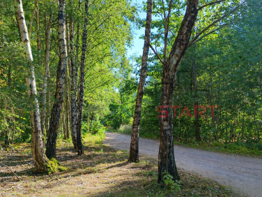 Działka usługowa Marków-Świnice