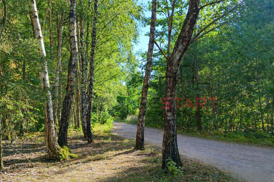 Działka usługowa Marków-Świnice