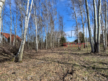 Działka budowlana Opypy