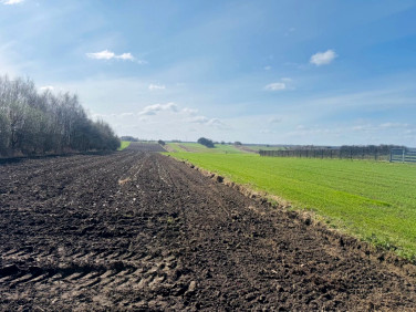 Działka budowlana Tarnowskie Góry sprzedam
