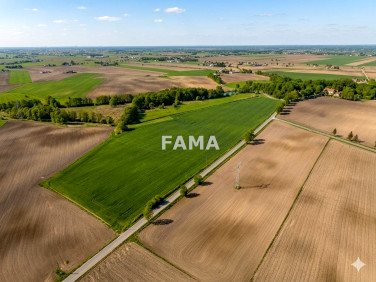 Działka rolna Kaźmierzewo