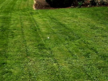 Działka siedliskowa Siemienice