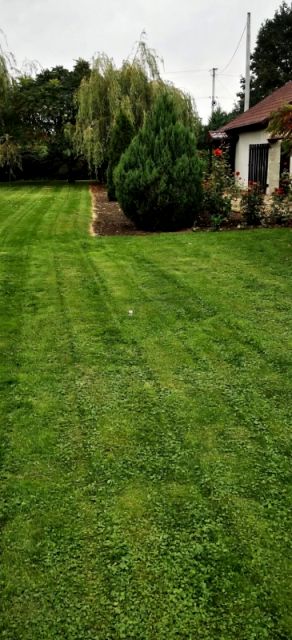 Działka siedliskowa Siemienice