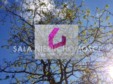 Działka budowlana Maksymilianowo