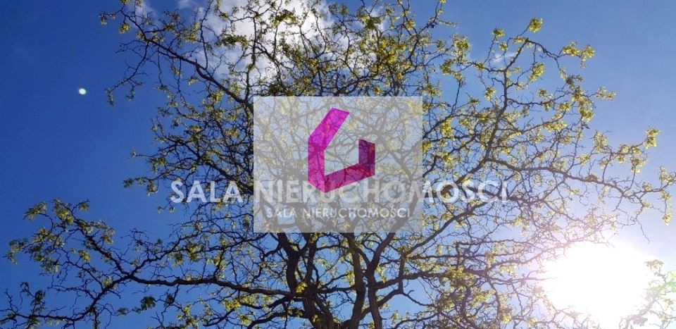 Działka budowlana Maksymilianowo