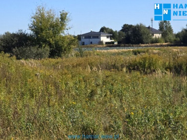 Działka Falenty Nowe