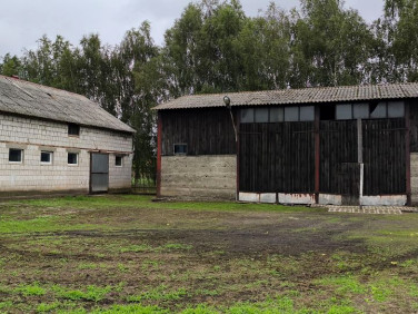 Działka usługowa Gruszczyn